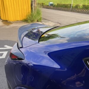 8f0cfc8ae69d2c09 photo scaled 1.jpg