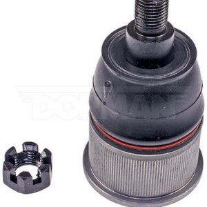 bj50075xl 001.jpg