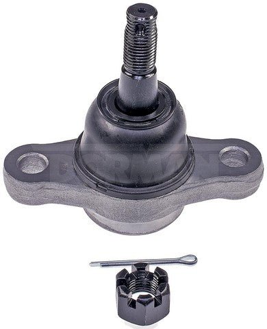 bj60085xl 001.jpg