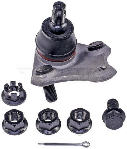 bj74265xl 007.jpg