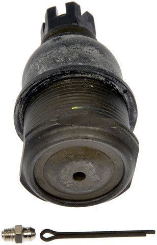 bj810015 002.jpg