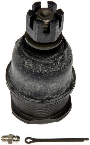 bj810015 007.jpg