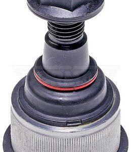 bj81116xl 007.jpg