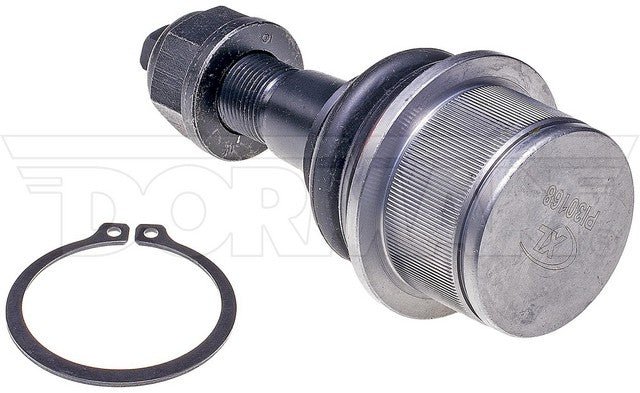 bj81265xl 002.jpg
