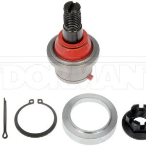 bj82295rd 007.jpg