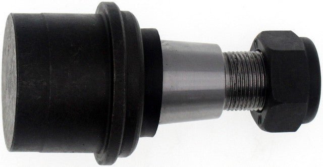 bj82465 001.jpg