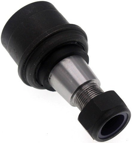 bj82465 004.jpg