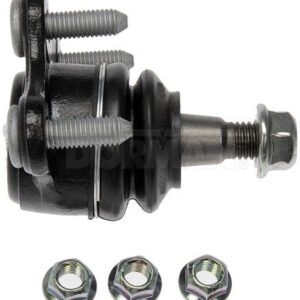 bj90186g 003.jpg