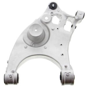 cms501222 bac.jpg