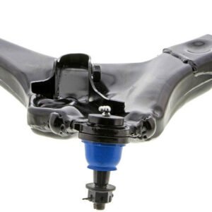 cms501239 bot.jpg