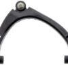 cms501241 bac.jpg