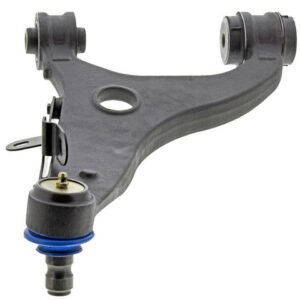 cms801199 bot.jpg