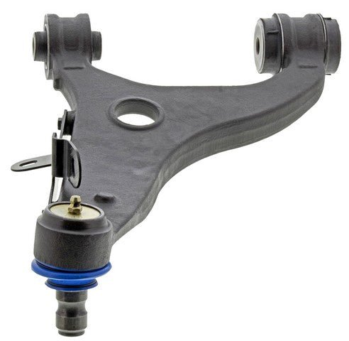 cms801199 bot.jpg