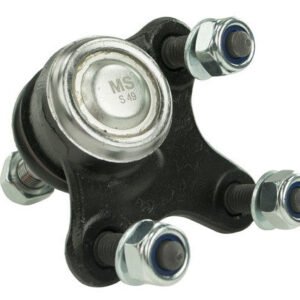 gs10511 bac.jpg