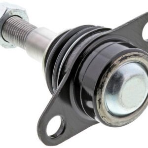 gs10523 bac 2.jpg