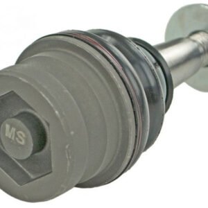 gs10530 bac.jpg