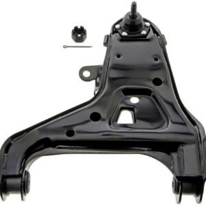gs501159 lif.jpg