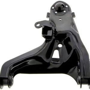 gs501160 bac.jpg