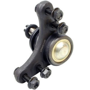 gs50509 bac.jpg