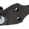 mk500143 bac.jpg