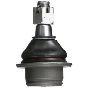 tc5598f.jpg